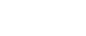BigID